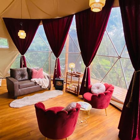 Feliza Rainforest Domes Monteverde Екстериор снимка